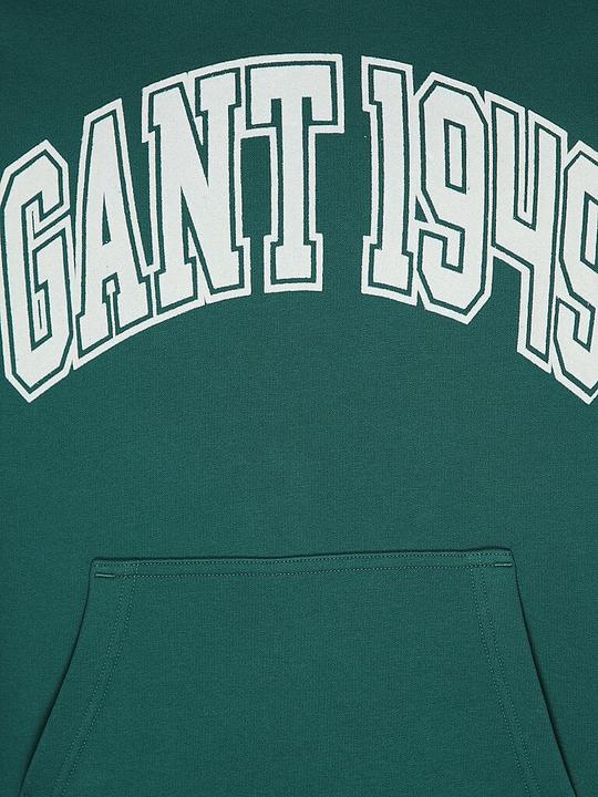 Image du produit GANT Kapuzensweater (L)