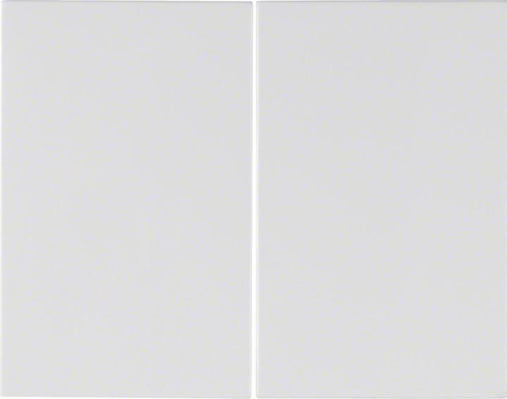 Actual product image Berker Rocker