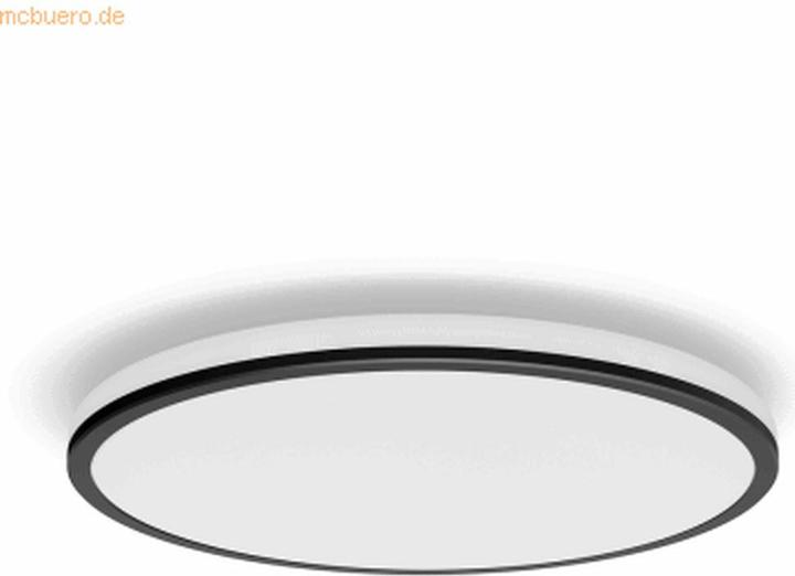 Actual product image Philips Ozziet (2300 lm)