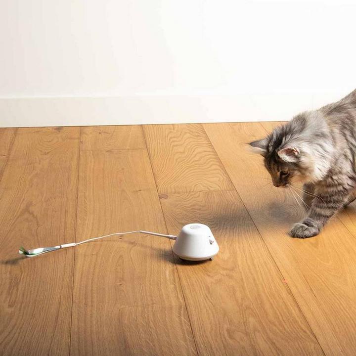 Immagine prodotto EBI Twisting Tank