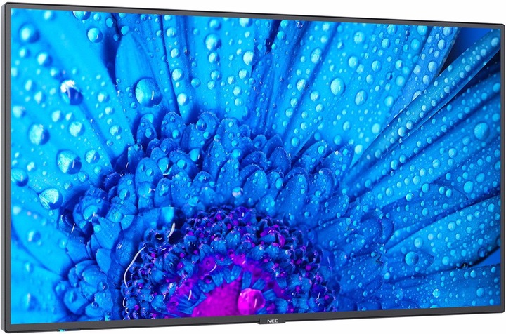 Actual product image NEC MultiSync M491 (3840 x 2160 Pixels, 49")