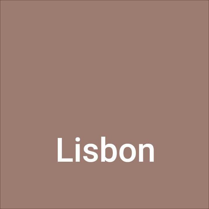 Produktbild Dupli-Color NEXT Lisbon seidenmatt (Lisbon Braun, 0.40 l)