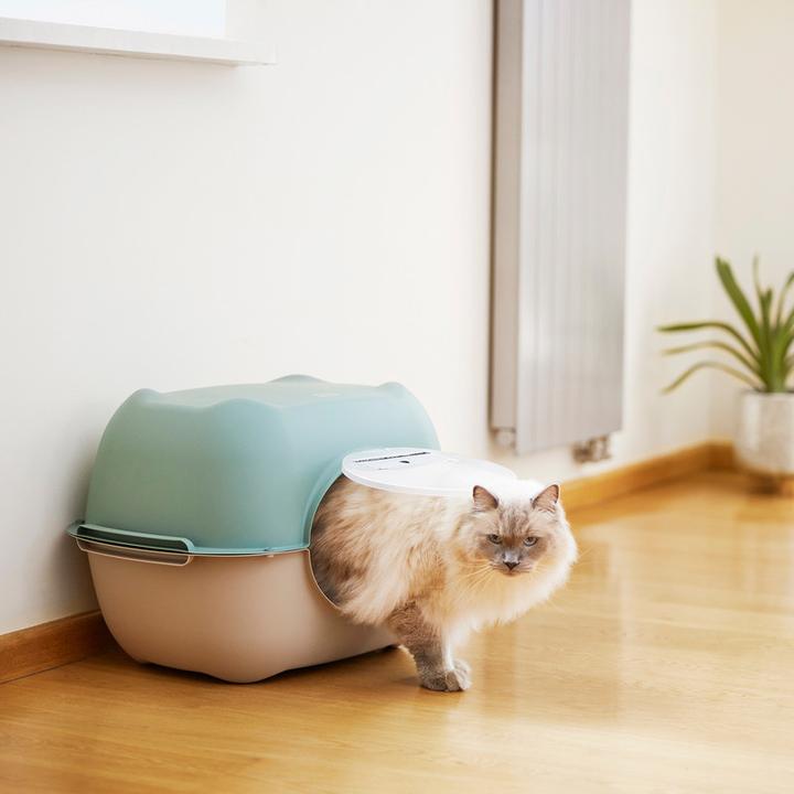 Actual product image Rotho Set Katzentoilette 3 tlg. BELLA farbig sortiert V3 (Cat litter box closed)