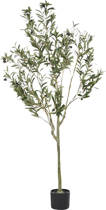 Immagine prodotto Beliani Olive Tree (153 cm)