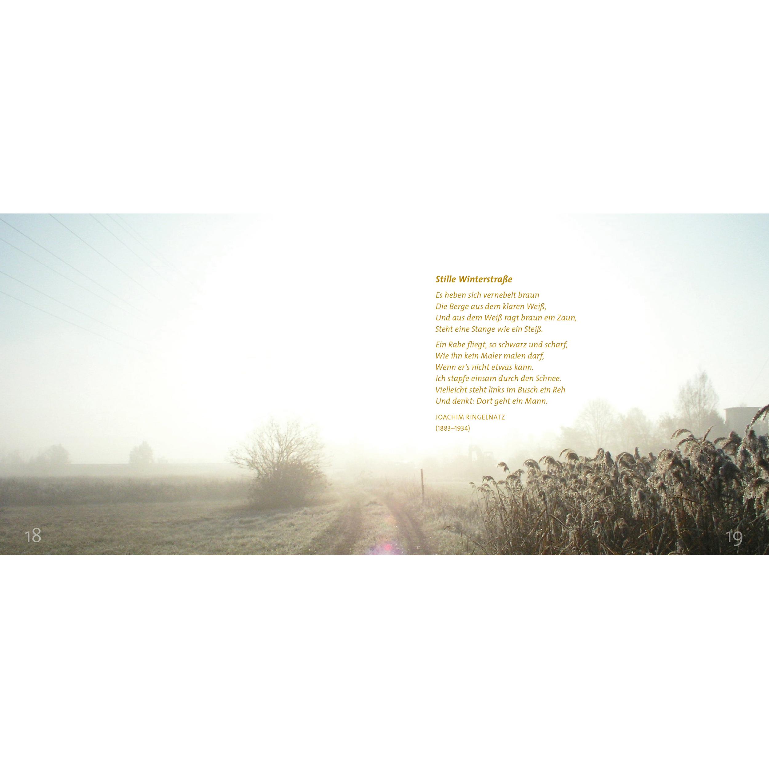 Thumbnail - Wintersonne, Belletristik von Alexander Brandl