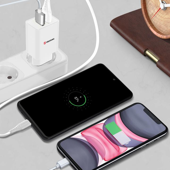 Actual product image Swissten 2.1A USB Power Bank with Smart IC + USB-C Cable (10 W)