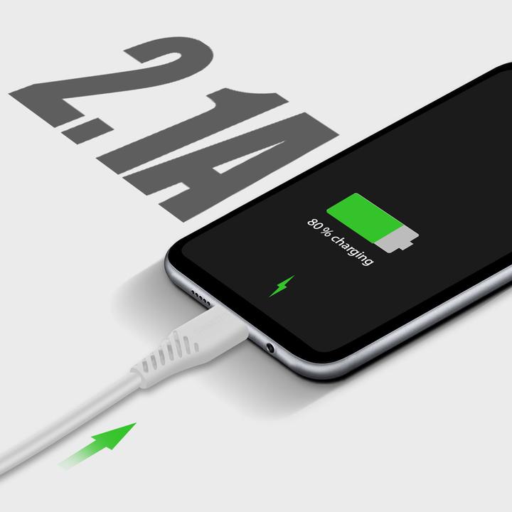 Actual product image Swissten 2.1A USB Power Bank with Smart IC + USB-C Cable (10 W)