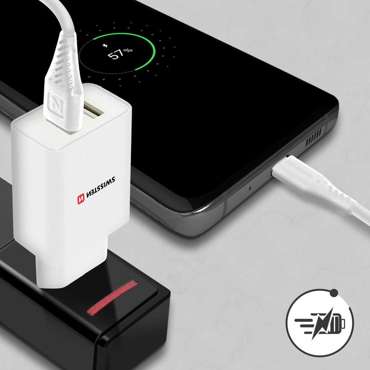 Actual product image Swissten 2.1A USB Power Bank with Smart IC + USB-C Cable (10 W)