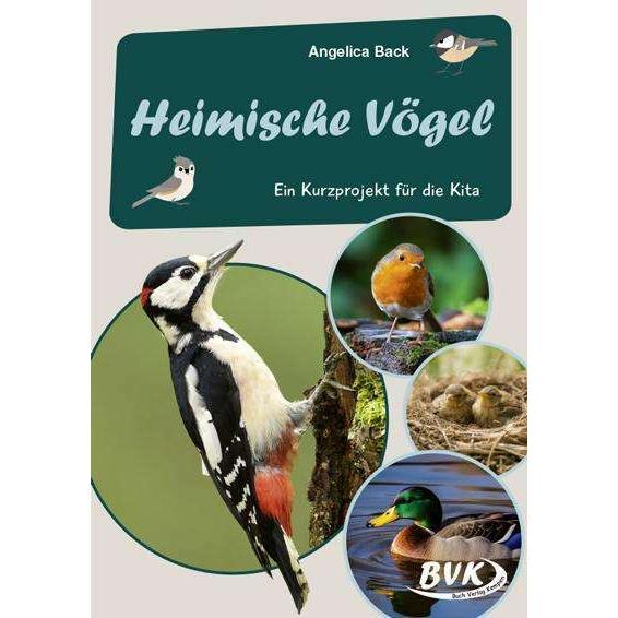Heimische Vögel -, Schulbücher von Angelica Back