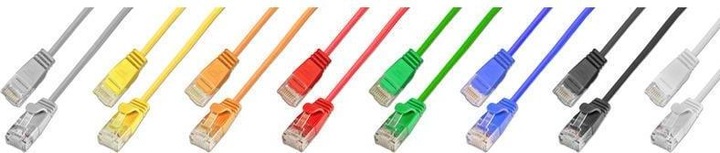 Image du produit Wirewin Câble de réseau (U/UTP, CAT6, 1 m)