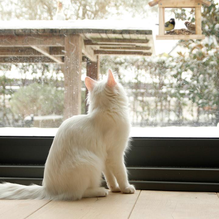 Produktbild Relaxdays Vogelhaus