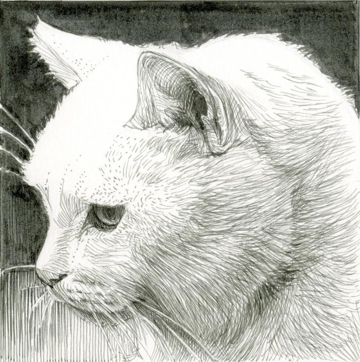 Produktbild Sakura Fineliner Pigma Micron 005 0.2 mm, Kaltgrau (Kaltgrau, 1x)