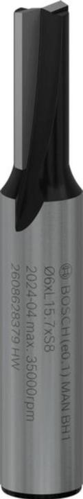 Actual product image Bosch Professional Zubehör Grooving cutter