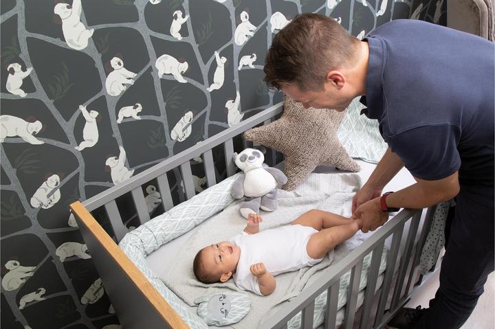 Immagine prodotto Zewi Cuscino per semi d'uva