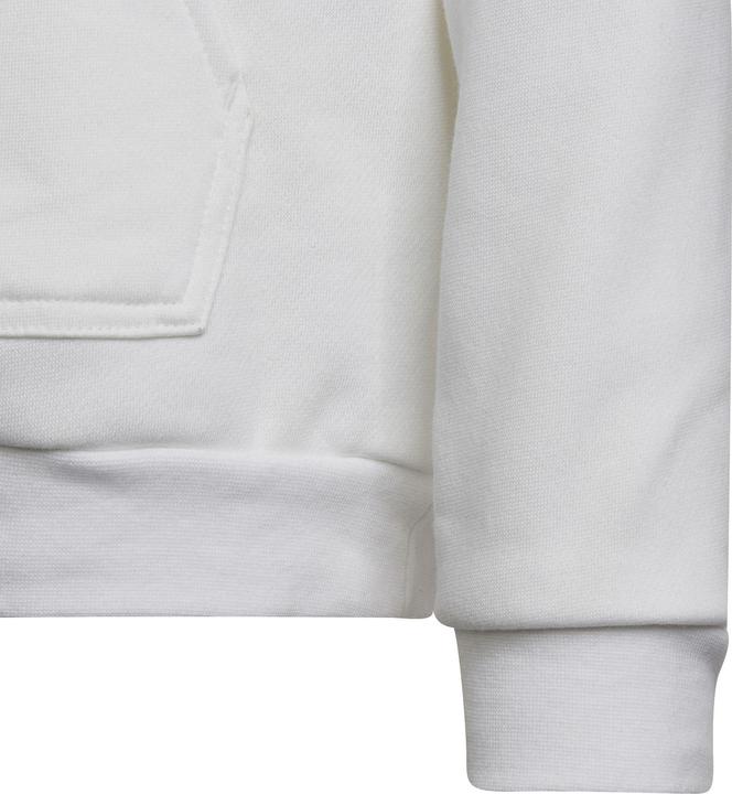 Image du produit Adidas Sweat à capuche Entrada 22 enfants (116)