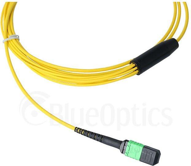 Produktbild BlueOptics LWL MTP/4xE2000 Breakout Kabel G.657.A1 Singlemode 3 Meter (3 m)