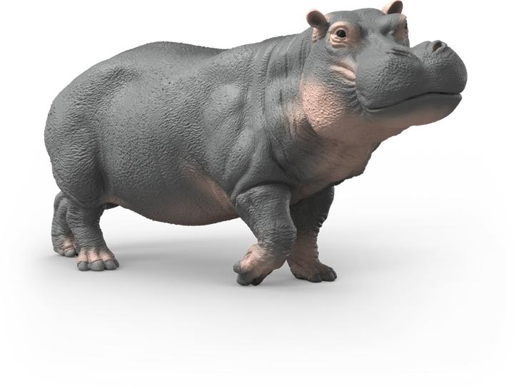 Image du produit Schleich Flusspferd