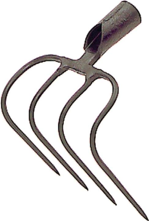 Victoria Hoe