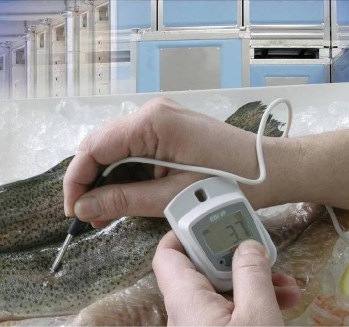 Image du produit Ebro EBI 20-TE1 Enregistreur de données de température (Mallette d'instruments de mesure)