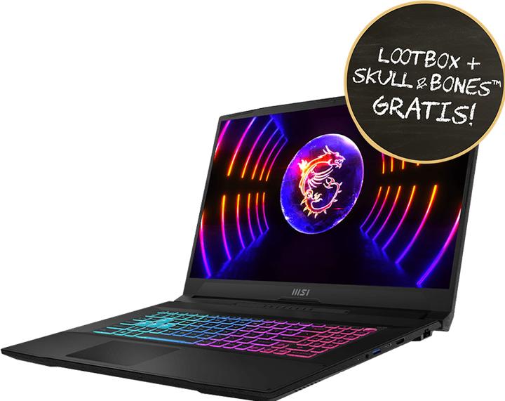 Image du produit MSI Katana 17 - SSD NVMe - 43.9 cm (17.3) (17.30", 512 Go, 16 Go, DE, Intel Core i5-13420H)