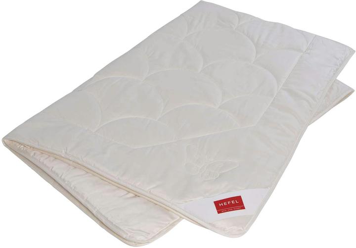 Image du produit Hefel Soie pure (160 x 210 cm)