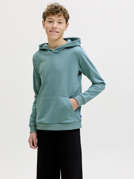 Produktbild Jack & Jones Jjebradley Sweat Hood Noos Jnr (128)