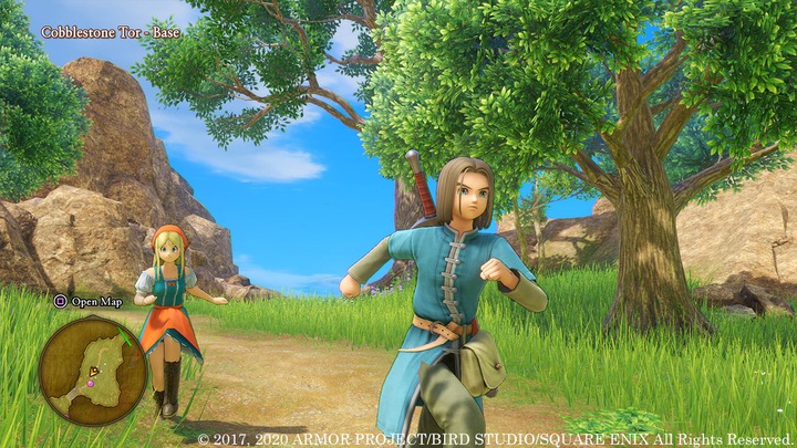 Immagine prodotto Square Enix Dragon Quest XI S: Fighters of Destiny - Edizione definitiva (PS4, IT)