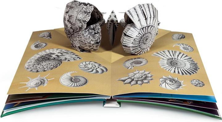 Produktbild Wunderwesen aus der Tiefe. Ernst Haeckel (Deutsch, Ernst Haeckel, 2015)