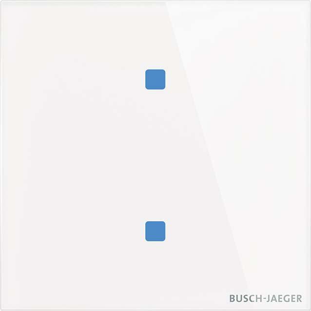 Busch-Jaeger, Lichtschalter + Storenschalter, TB/U2.4.11-CG