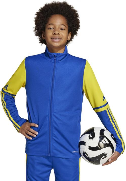 Produktbild adidas Squadra 25 Trainingsjacke Kids (176)