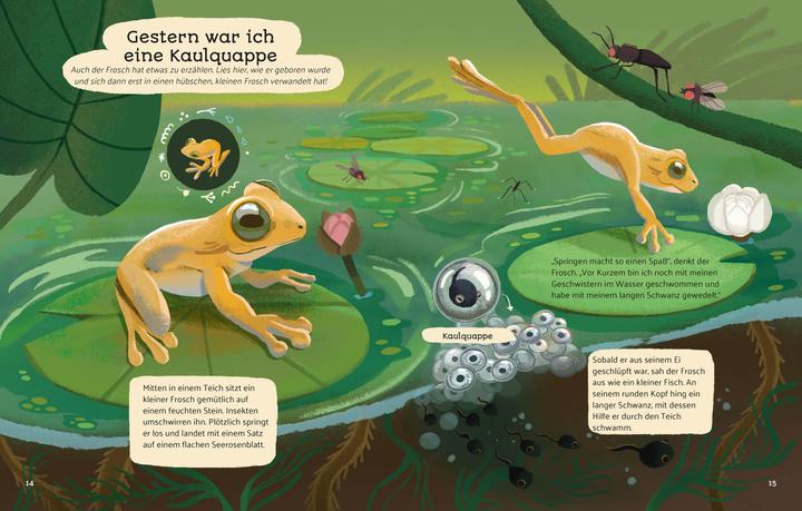 Produktbild National Geographic Kleine Geschichten aus der Natur (Deutsch, Altea Villa, Francesca Sudano, 2025)