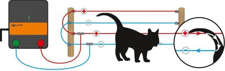 Produktbild Gallagher Schutting Set (Katten) S6 Solar