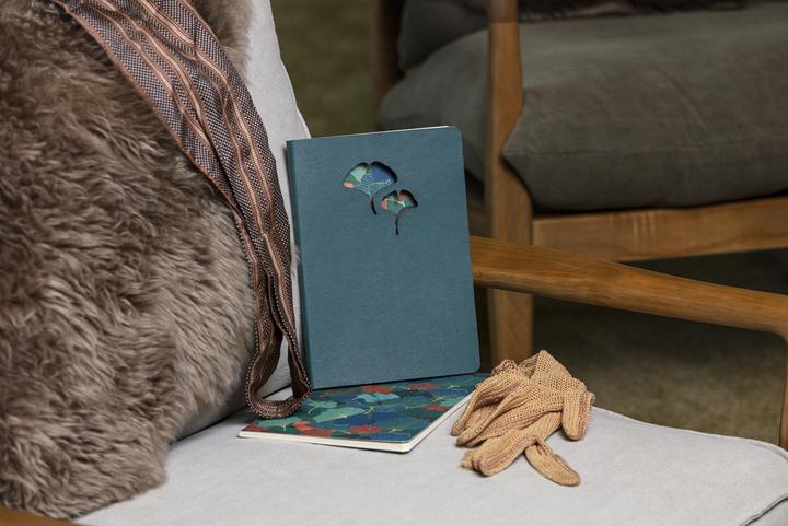 Image du produit Clairefontaine Ginkgo, Notizbuch aus Leder, A5 14,8x21 cm, 72 Blatt liniert 90g, sortiert - (A5, À rayures, Couverture souple)