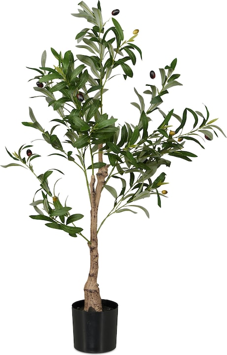 Relaxdays Olivenbaum (90 cm)