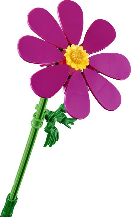 Produktbild LEGO Kosmeen (11514, LEGO Botanicals)