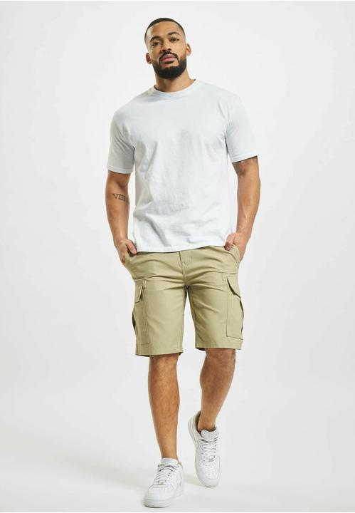 Actual product image Dickies Millerville Shorts (30)