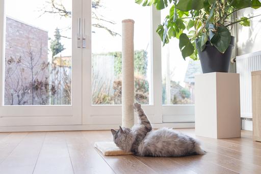 Image du produit Beeztees Gina (90 cm, Beige)