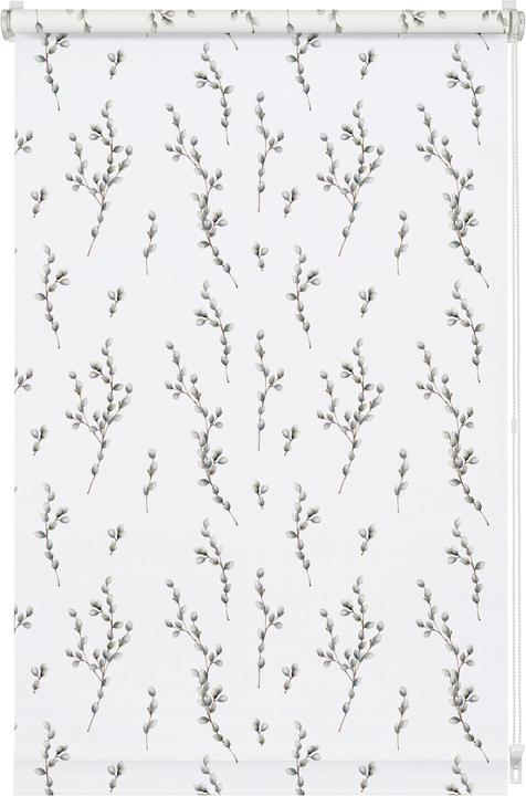 Immagine prodotto Gardinia Tenda a rullo EASYFIX Digiprint willow catkin (70 x 150 cm)
