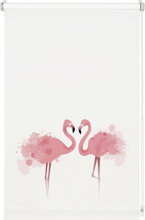 Produktbild Gardinia EASYFIX Rollo Digiprint Flamingo (70 x 150 cm)