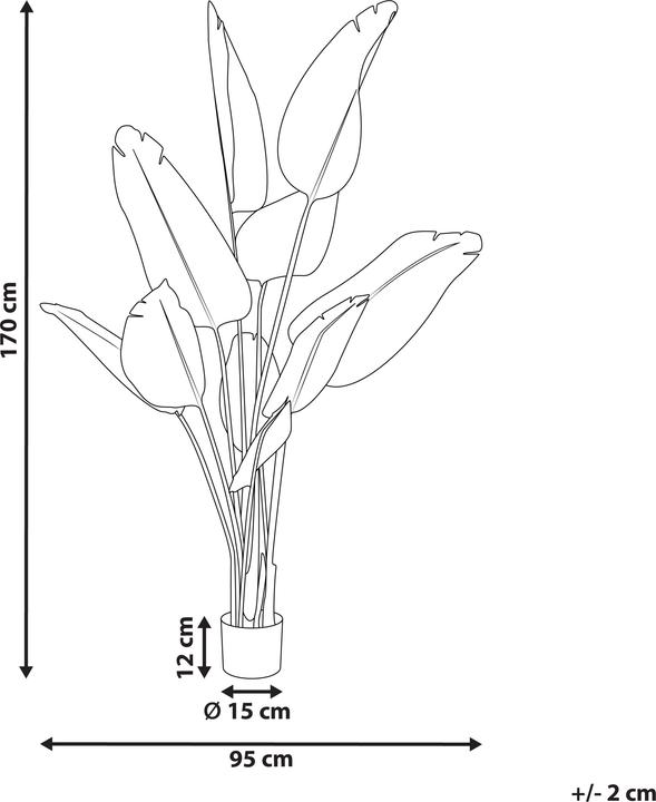 Immagine prodotto Beliani Banana Tree (170 cm)