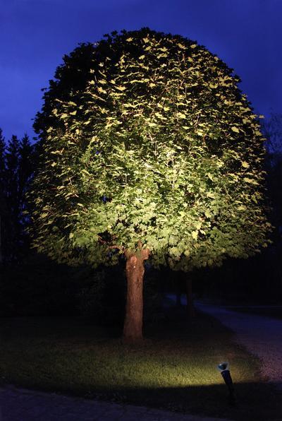 Actual product image Star Trading Spotlight (E27, 1150 lm, 1 x)