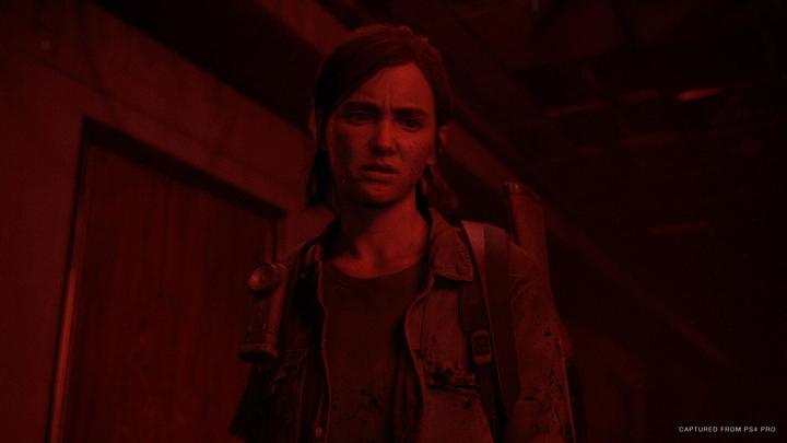 Produktbild Sony The Last of Us Part II (2) (PS4, EN)