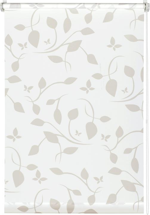 Gardinia Tenda a rullo EASYFIX decor 100 Scandinavian