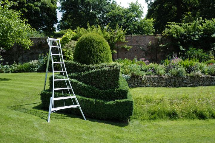 Actual product image Niwaki 3 bar garden ladder 330cm height adjustable