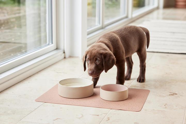 Immagine prodotto OYOY Zoo Ciotola in ceramica Sia S, Ø 13 x H 4,5 cm, Bianco sporco (0.38 l)