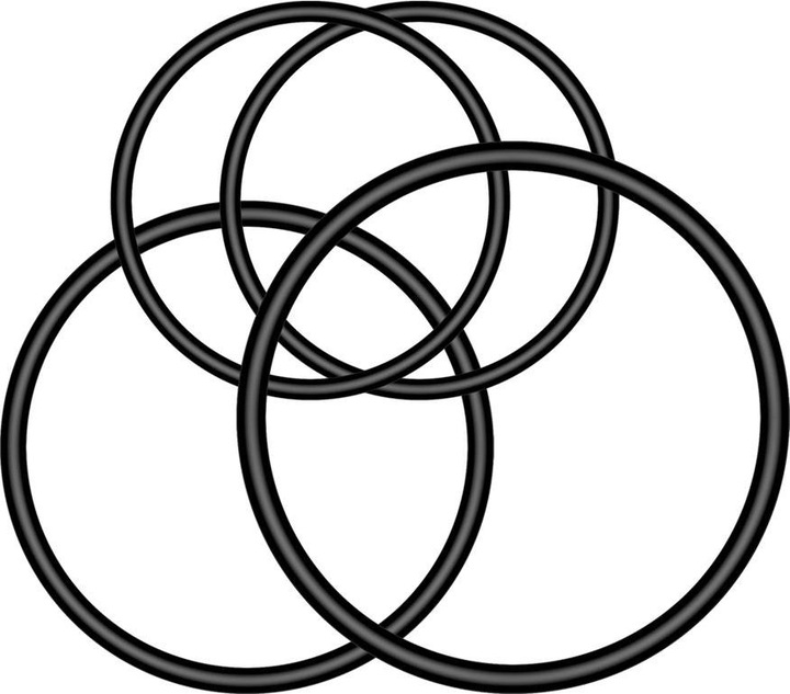 Immagine prodotto Garmin O-ring per staffa manubrio Aero-Kombi