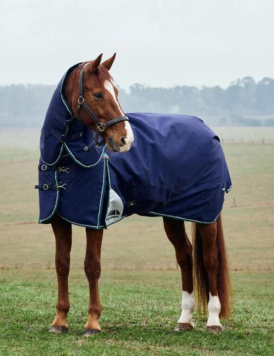 Produktbild Weatherbeeta Comfitec Plus Dynamic 100g (155 cm)