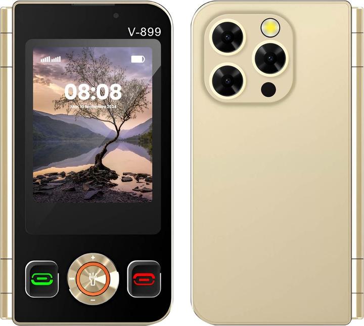 Avizar V899 (0.03 GB, Gold, 2.80", Dual SIM, 2G)