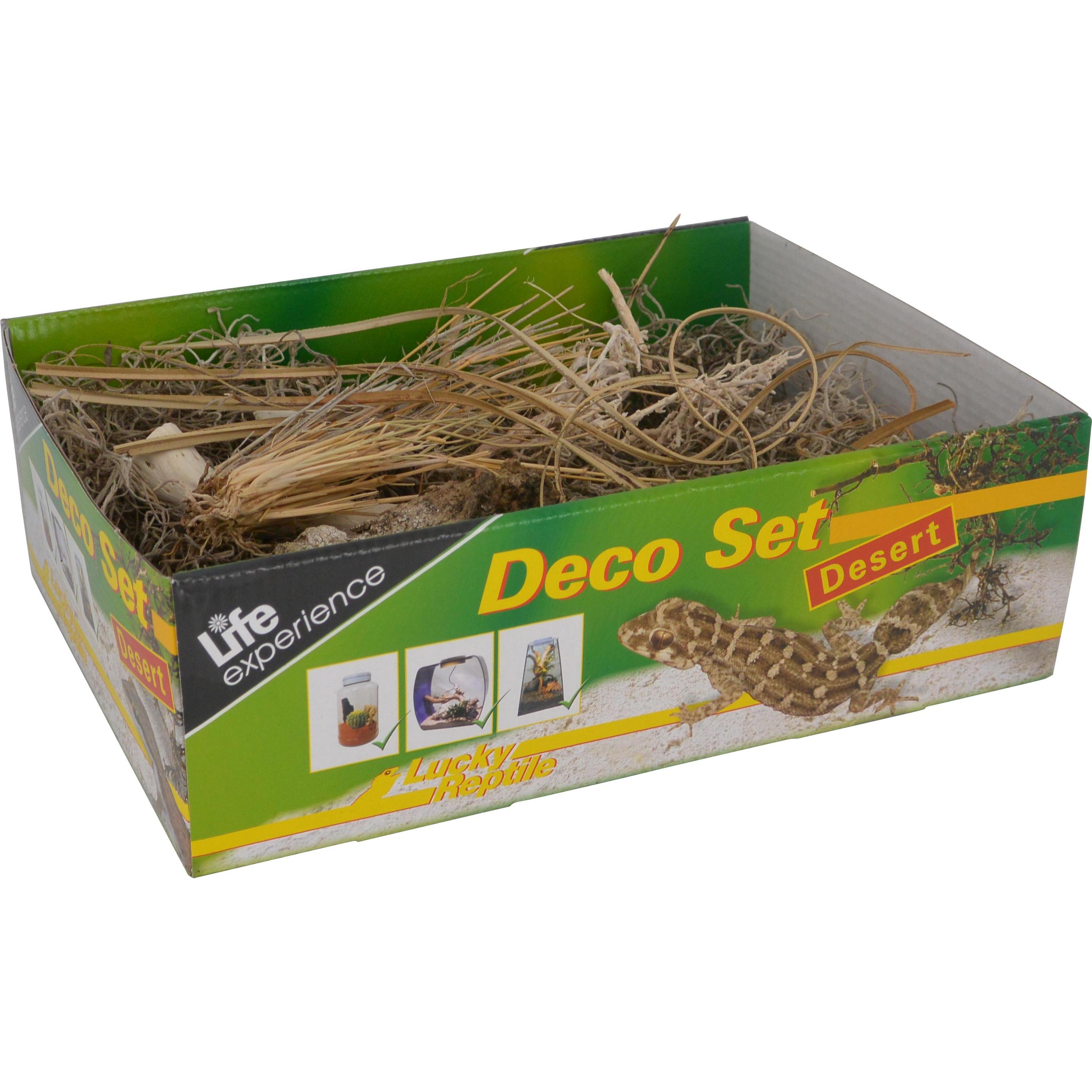 Comparer les prix de Lucky Reptile Deko Set Wüste, Aménagement pour terrarium
