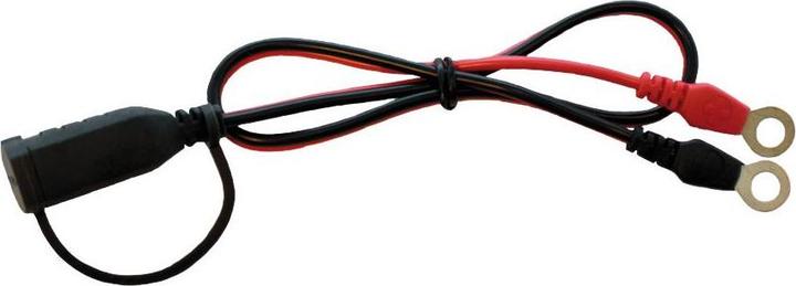 Actual product image Ctek Comfort Connect Eyelet M8